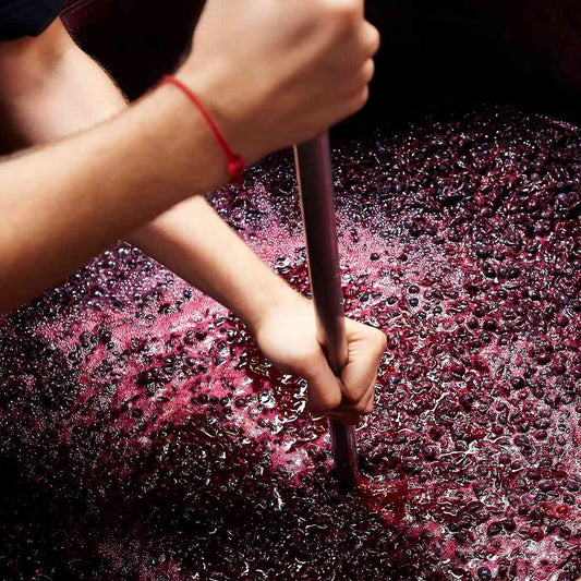 Masterclass Natuurwijnen - 13 maart