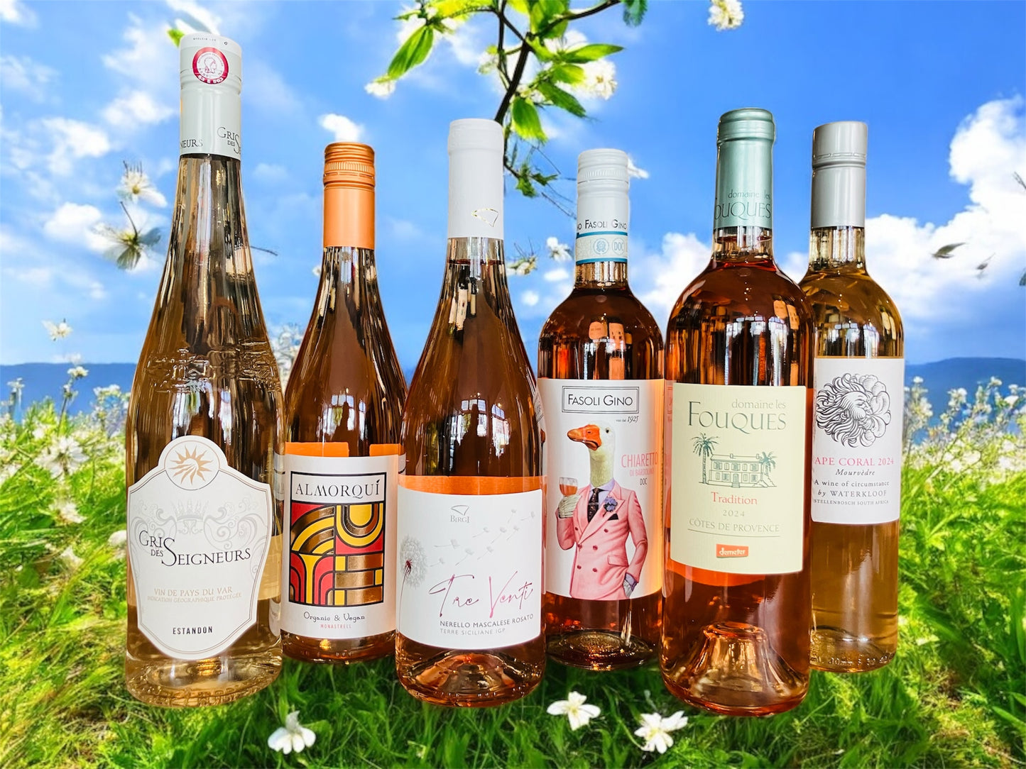 Proefdoos Rosé (6 flessen) gratis thuisbezorgd